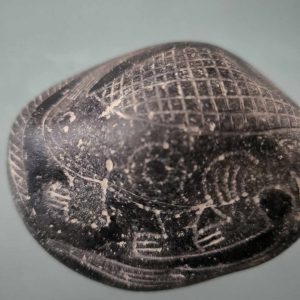 PIEDRA DE ICA DINOSAURIO