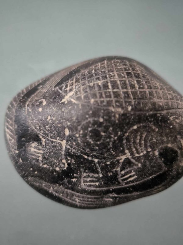 PIEDRA DE ICA DINOSAURIO