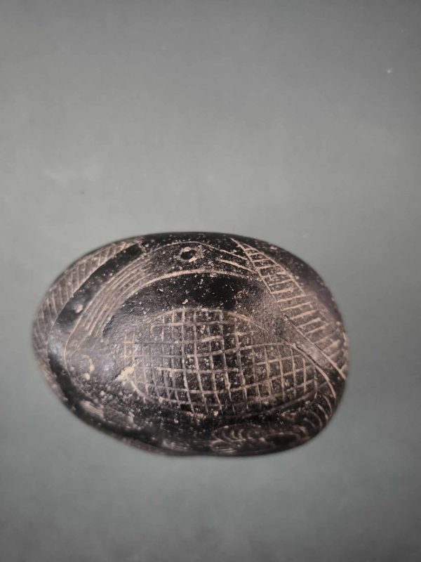 PIEDRA DE ICA DINOSAURIO - Imagen 2
