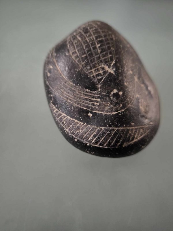 PIEDRA DE ICA DINOSAURIO - Imagen 3