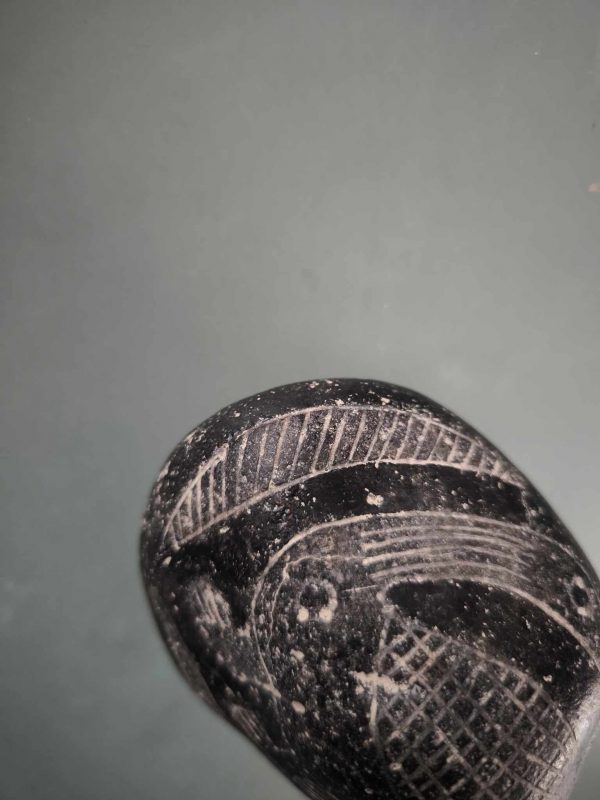 PIEDRA DE ICA DINOSAURIO - Imagen 4