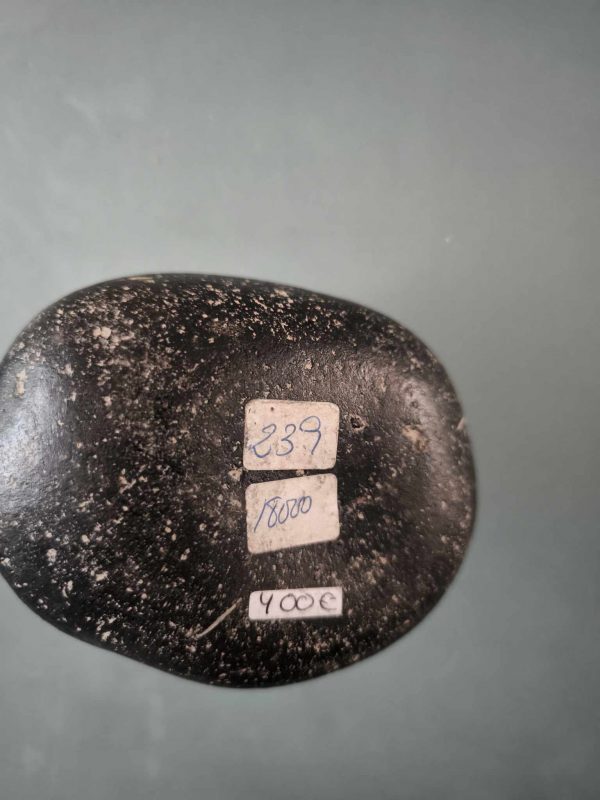 PIEDRA DE ICA DINOSAURIO - Imagen 5