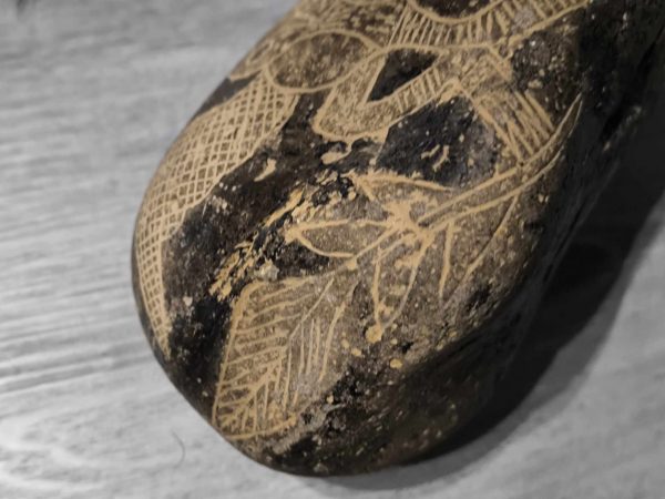 PIEDRA DE ICA AVE MUY RARA - Imagen 5