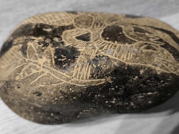 PIEDRA DE ICA AVE MUY RARA - Imagen 6