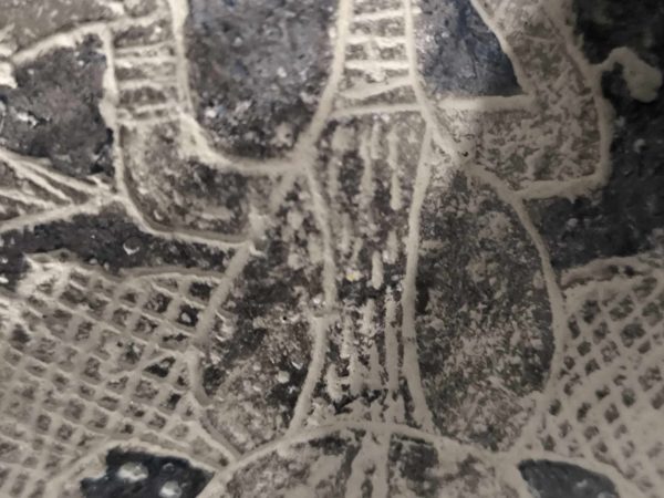 PIEDRA DE ICA AVE MUY RARA - Imagen 8
