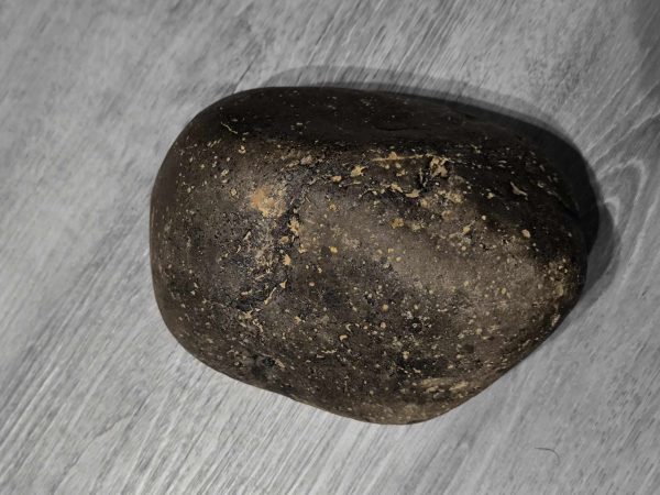 PIEDRA DE ICA AVE MUY RARA - Imagen 9